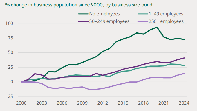 Business population statistics 2024